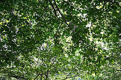 《暗黑3》最终赛季：新单人模式和游玩体验提升