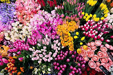 经典回归！动作生存类角色扮演游戏 《生死抉择：血霾》将于5.19在STEAM上发布！