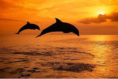 真岛吾朗确定将在《如龙8》中回归 但不是主要人物