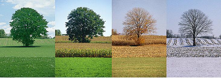 计划通？《刺客信条：黑旗》Steam玩家数量现已翻2倍